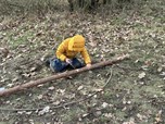 Die Waldkindergärten - Natur als Heilmittel für die Jetztzeit?