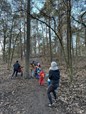 Die Waldkindergärten - Natur als Heilmittel für die Jetztzeit?