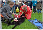 45 Jahre Freundschaft zwischen den Feuerwehren in Řevnice und Kayna