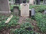 Rettung historisch wertvoller Grabsteine im baufälligen Zustand auf dem Neuen jüdischen Friedhof in Prag