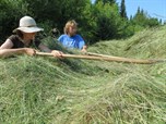 HeuHoj-Camp 2015 im Osterzgebirge