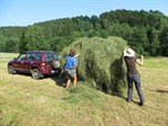 HeuHoj-Camp 2015 im Osterzgebirge