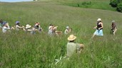 HeuHoj-Camp 2015 ve Východních Krušných horách