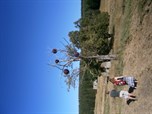 Land Art Treffen Königsmühle 2016