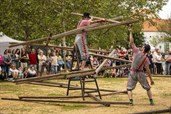 dasFest: Deutsch-tschechische Nachbarschaftsfeier in Pilsen