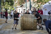 dasFest: Deutsch-tschechische Nachbarschaftsfeier in Pilsen