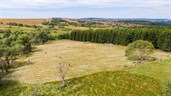 Heuhoj-Camp 2020: Grenzüberschreitender Naturschutz im Osterzgebirge