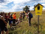 Heuhoj-Camp 2020: Grenzüberschreitender Naturschutz im Osterzgebirge