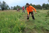 Heuhoj-Camp 2020: Přeshraniční ochrana přírody ve východních Krušných horách