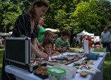 Eine deutsch-tschechische Insel auf dem Festival United Islands