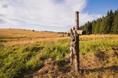 Landart Treffen Königsmühle 2021