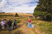 Landart Treffen Königsmühle 2021